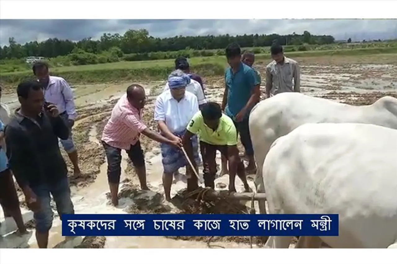 কৃষকদের সঙ্গে চাষের কাজে হাত লাগালেন মন্ত্রী