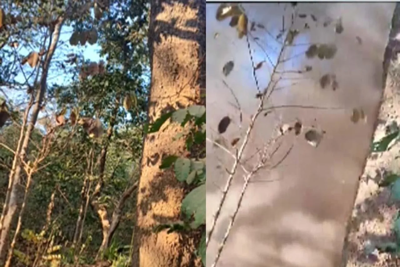 আবারও IED বিস্ফোরণে কেঁপে উঠল ছত্তিশগড়