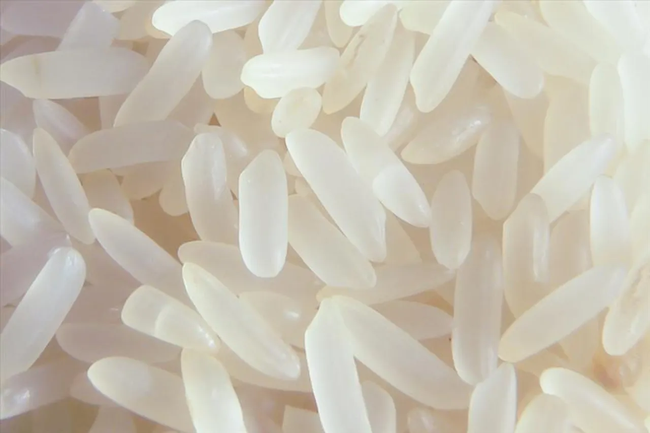 দুয়ারে রেশনে দেওয়া হচ্ছে প্লাস্টিকের চাল! হূলস্থূল ভাতারে