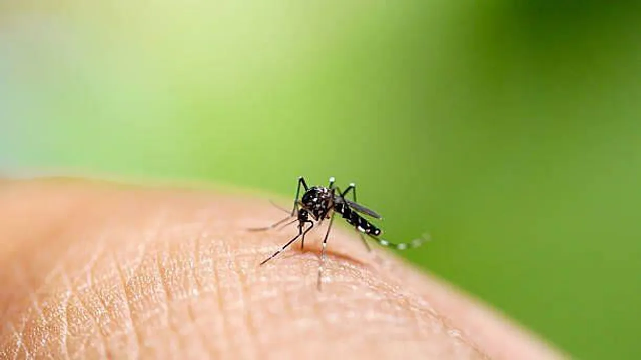 দেশজুড়ে বাড়ছে ডেঙ্গুর প্রকোপ, উদ্বেগপ্রকাশ স্বাস্থ্যমন্ত্রীর