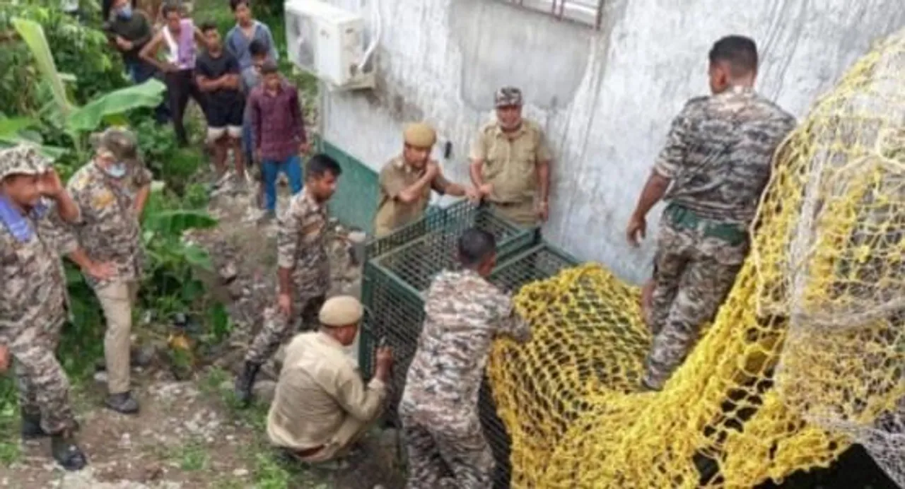 বাগডোগরাতে চিতাবাঘের আতঙ্ক!