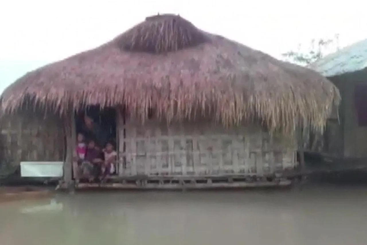 Assam flood: ১৫,০৮৪ জন মানুষ ক্ষতিগ্রস্ত হয়েছে