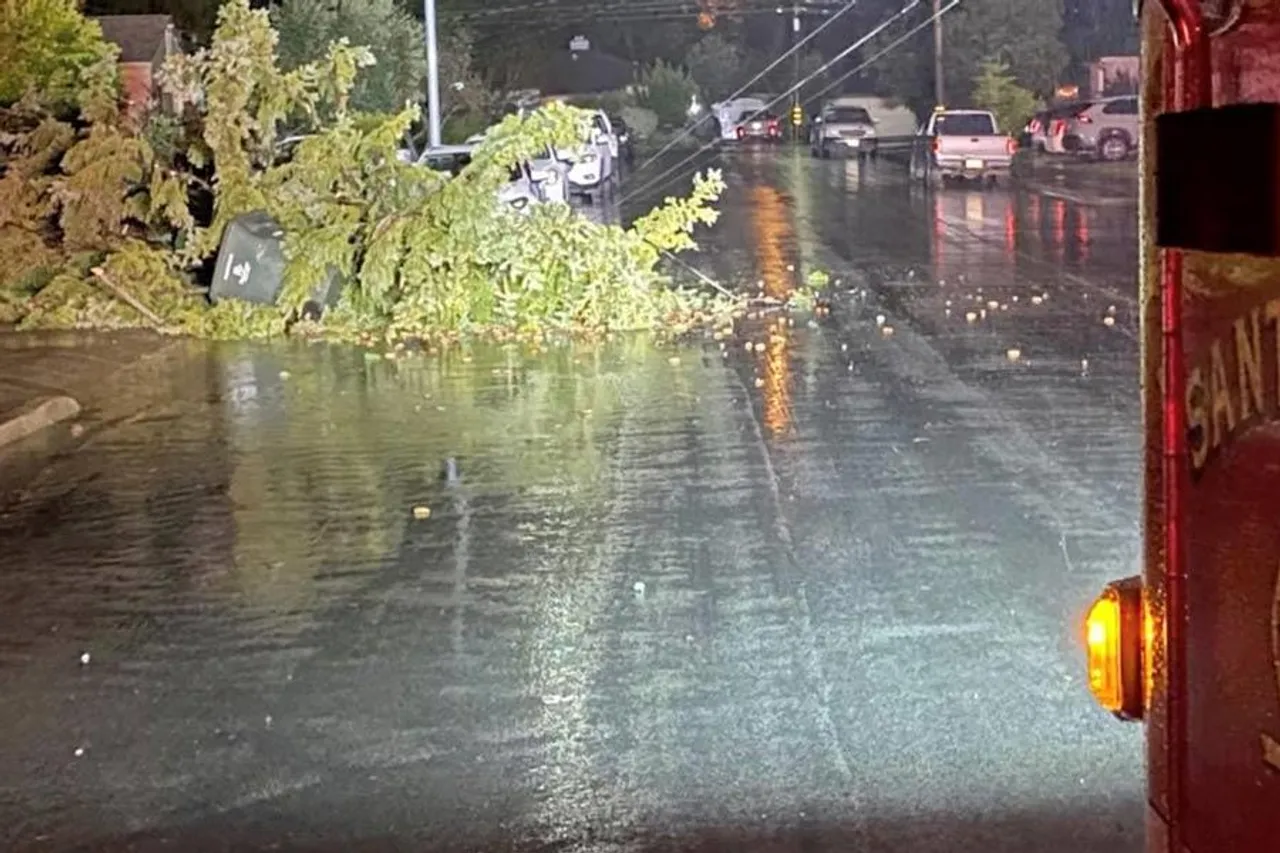 ক্যালিফোর্নিয়ায় কমপক্ষে ৬০,০০০ বাড়ি, ব্যবসায়ী প্রতিষ্ঠান বিদুৎহীন