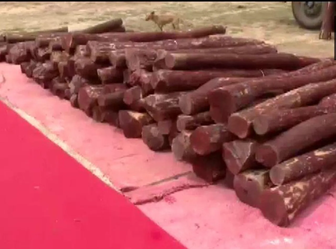 অবৈধ চন্দন কাঠ উদ্ধার, গ্রেফতার ১৩