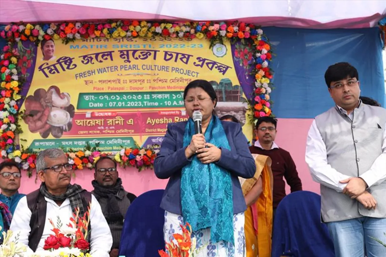 শুরু হল মিষ্টি জলে মুক্তো চাষ