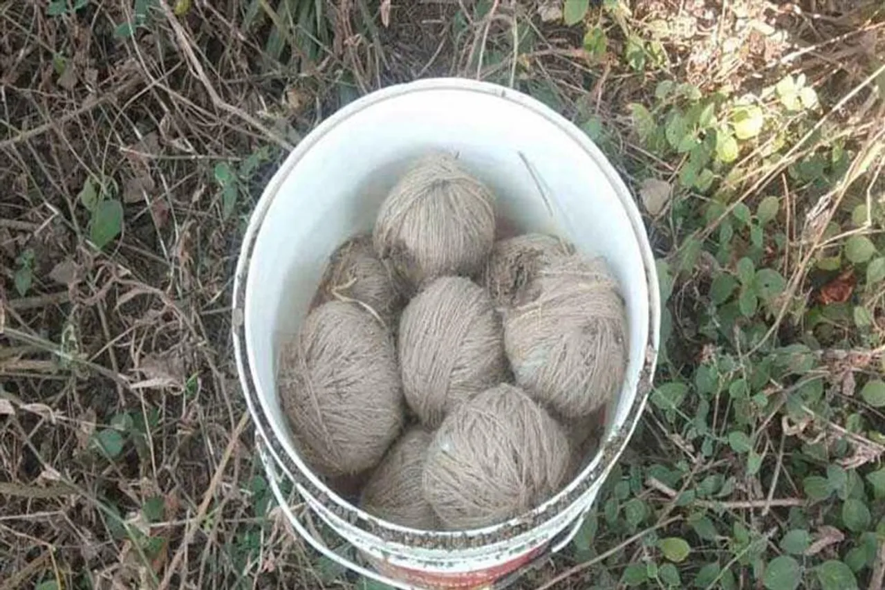 কলকাতার থেকে উদ্ধার বিপুল তাজা বোমা