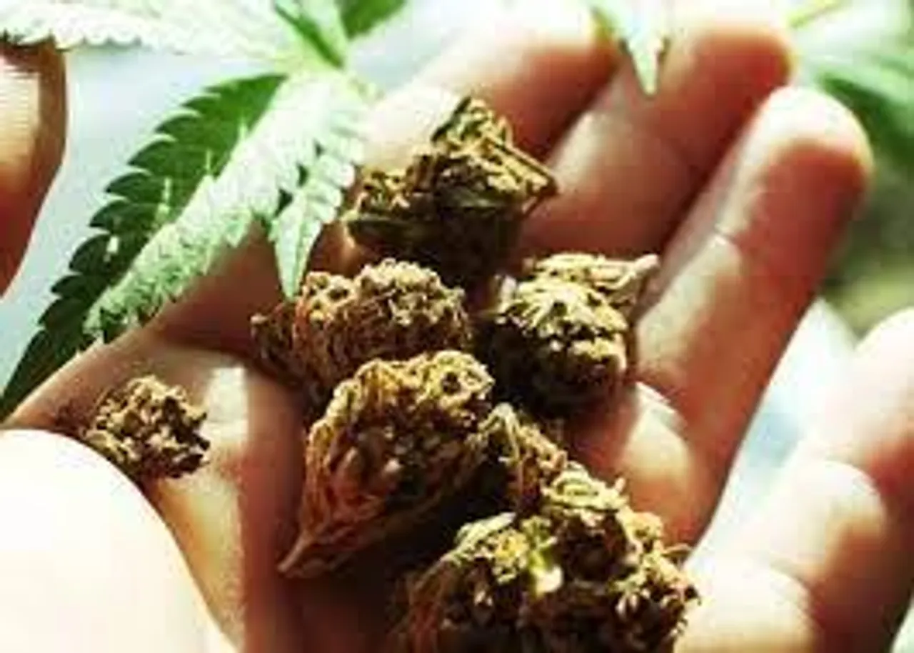 কুল্লু থেকে ৭ কেজিরও বেশি চরস উদ্ধার করল পুলিশ