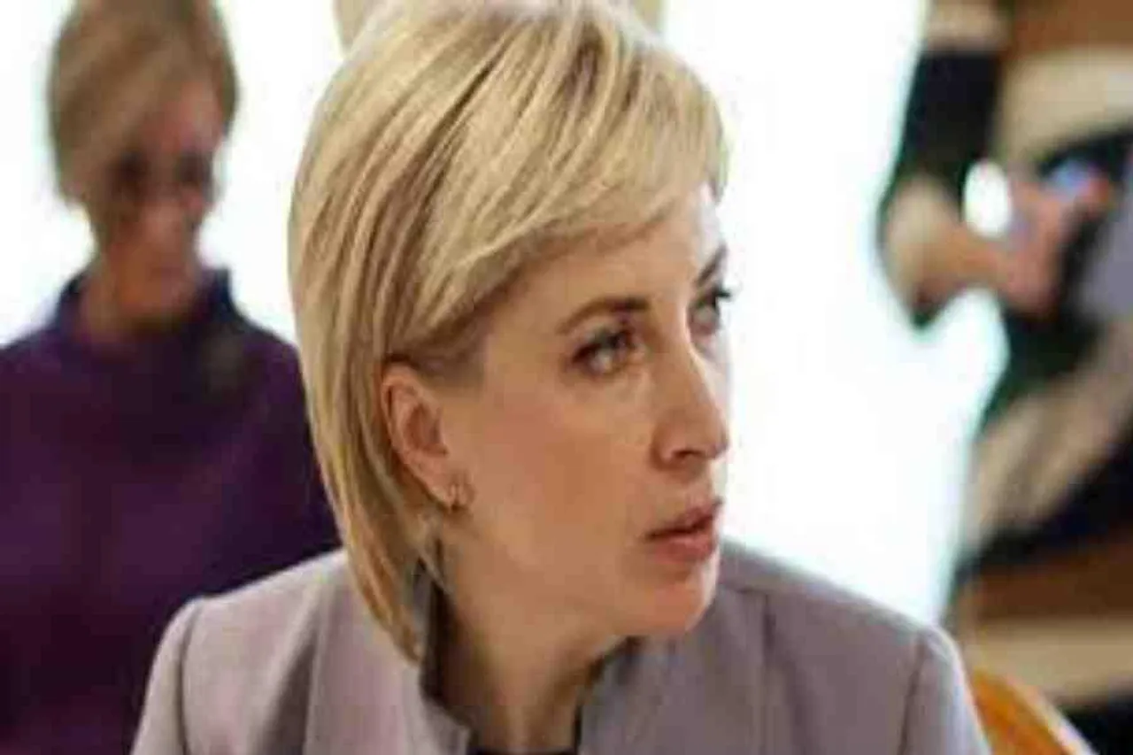 গণভোটে অংশ না নেওয়ার আহ্বান ইউক্রেনের উপপ্রধানমন্ত্রীর