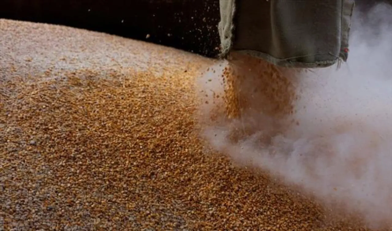 সংকটে থাকা দেশগুলোকে বিনামূল্যে রুশ গমের ময়দা দেবে তুরস্ক