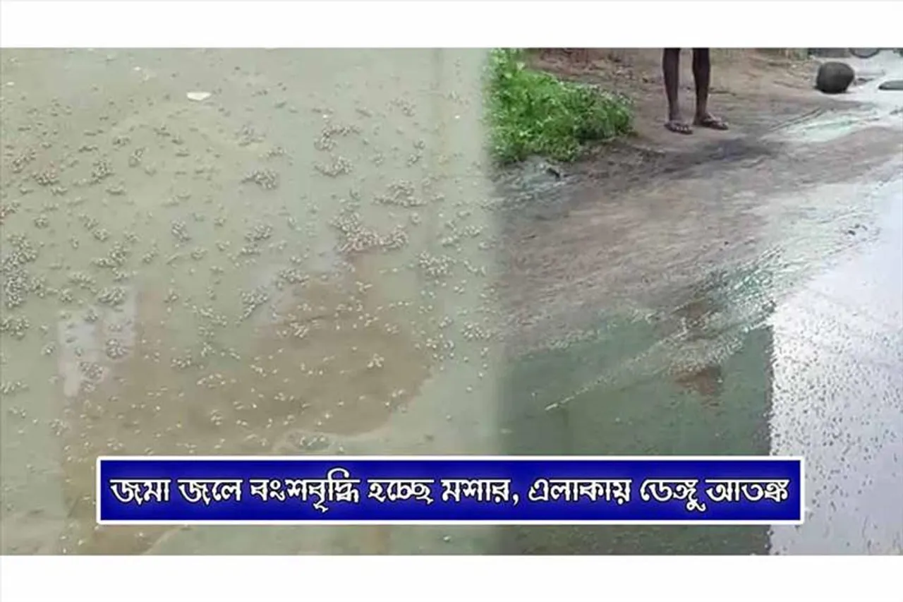 জমা জলে বংশবৃদ্ধি হচ্ছে মশার, ডেঙ্গু আতঙ্ক এলাকায়