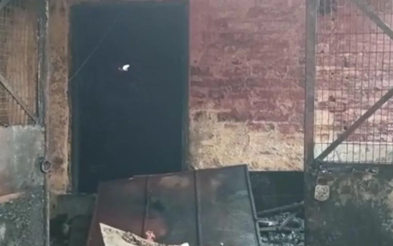 ভোর রাতে ভয়াবহ আগুন শহরে, পুড়ে ছাই বেকারি