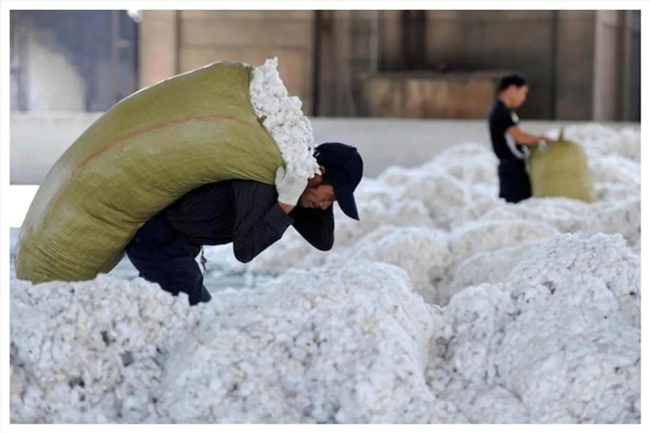ভারত থেকে তুলা আমদানি করতে চাইছে পাকিস্তান!
