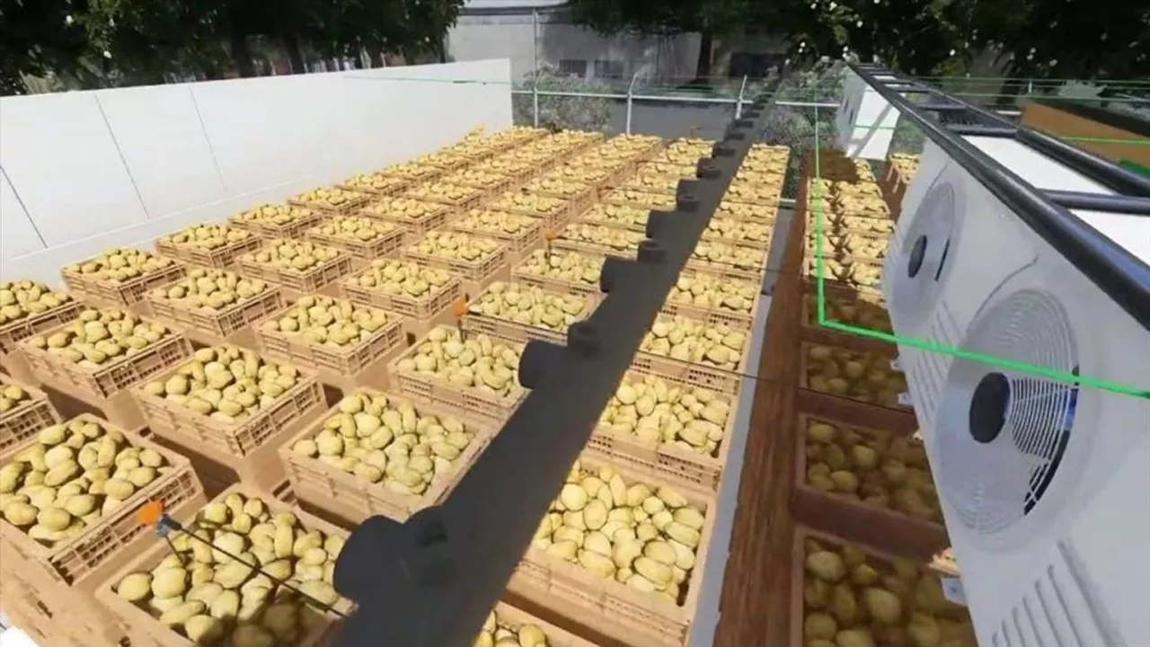 আলু মজুত নিয়ে কড়া নির্দেশ রাজ্যের