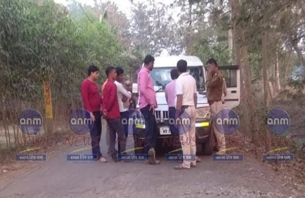 সরকারি গাছ কেটে পার্টি অফিস তৈরী করার অভিযোগ তৃণমূলের বিরুদ্ধে