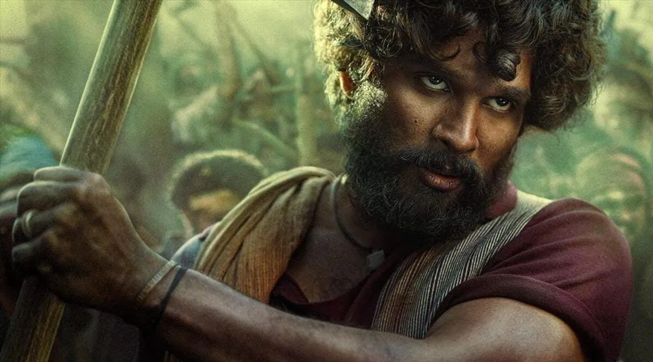 কত আয় করল পুষ্পা?