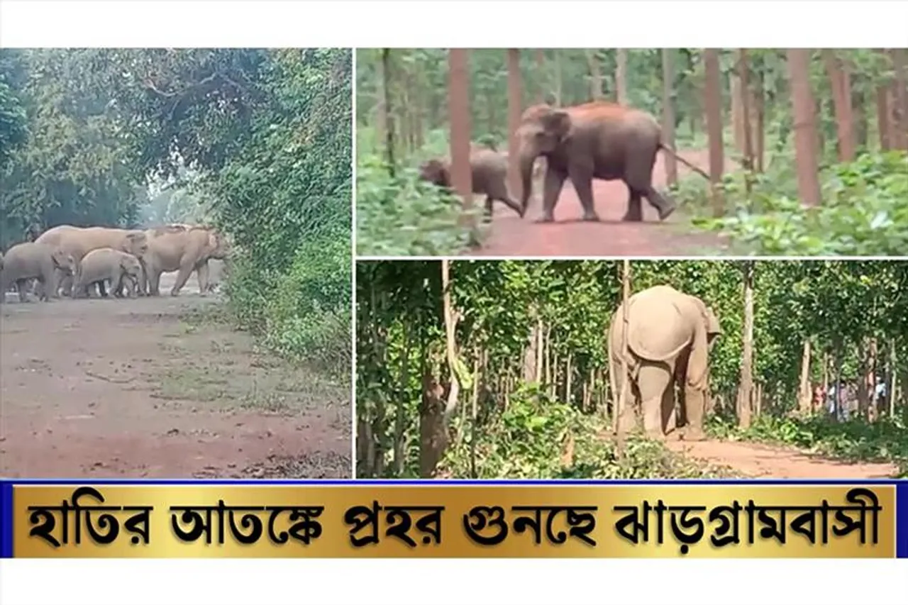 সাত সকালেই হাতির তান্ডব ঝাড়গ্রামে