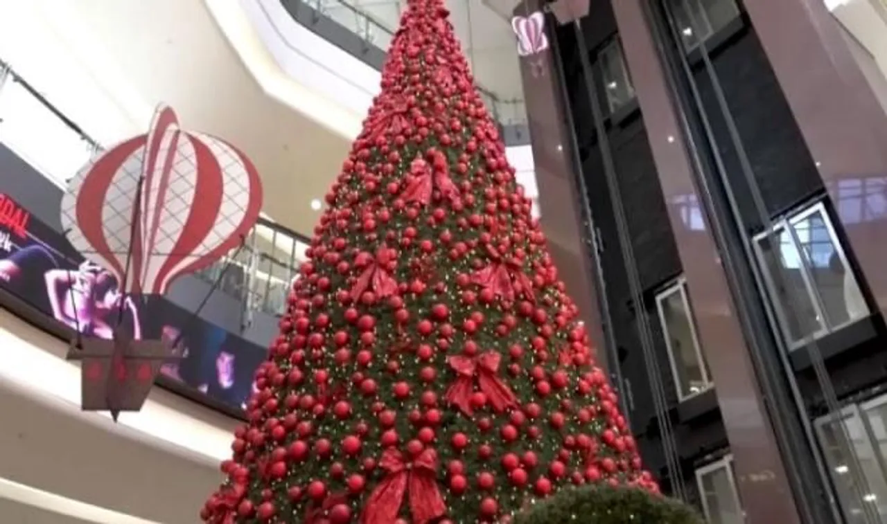 বড়দিন ঘিরে দক্ষিণ আফ্রিকায় সাজসাজ রব