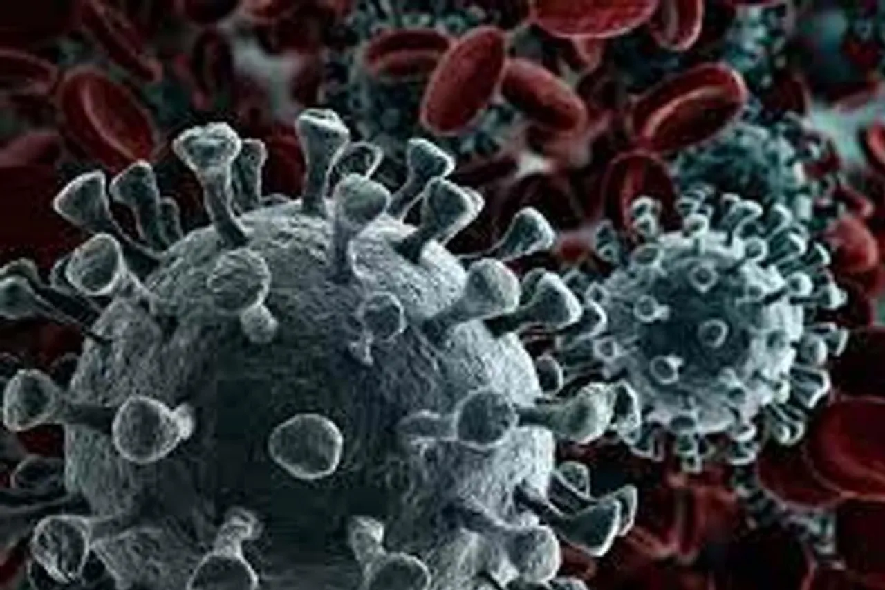 তিন মাসে সর্বোচ্চ করোনা মৃত্যু পাকিস্তানে