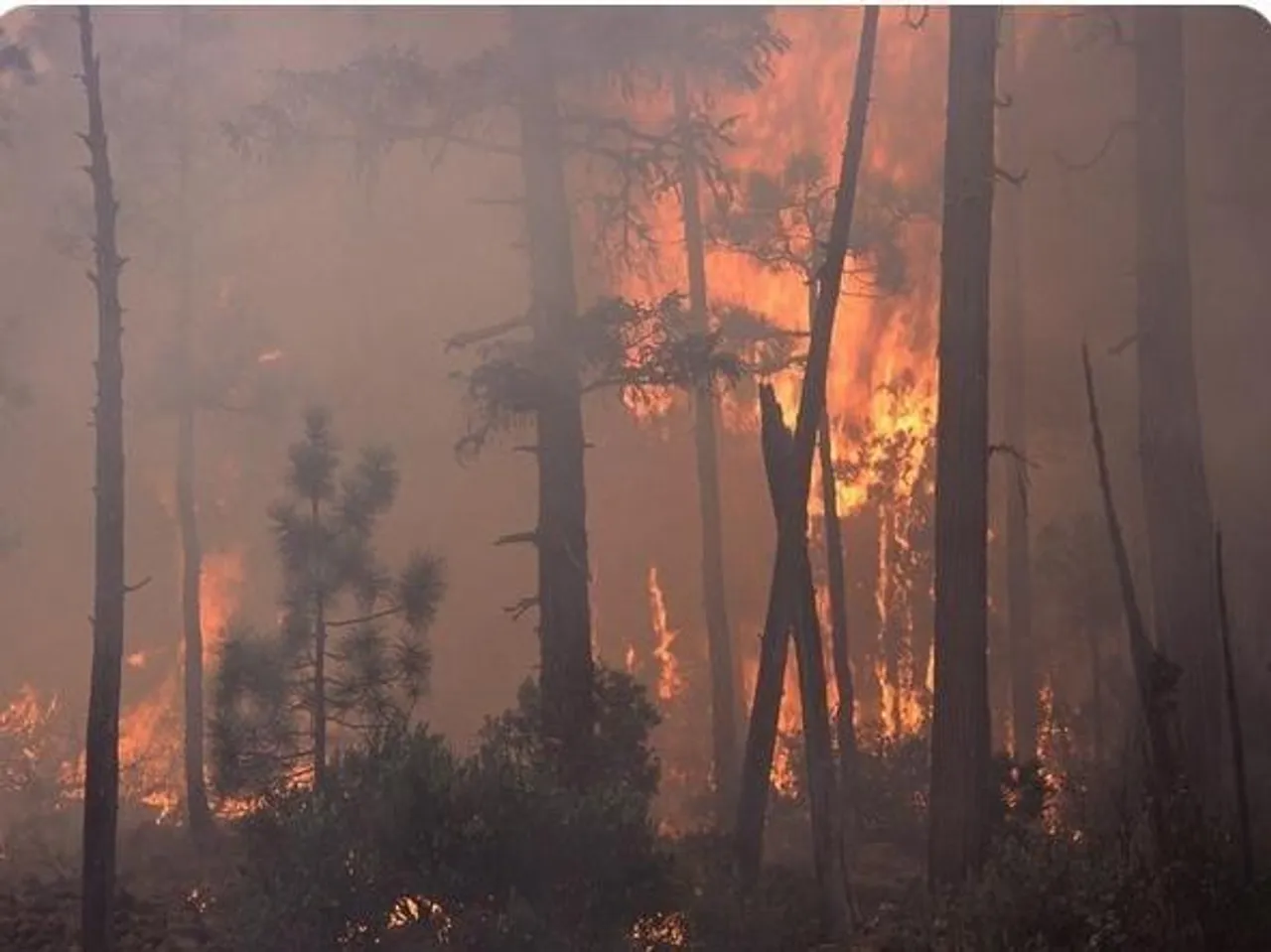 ক্যালিফোর্নিয়ার দাবানলে ১৪,০০০ একরের বেশি জমি ধ্বংস, ৬০০০ মানুষ বাস্তুচ্যুত