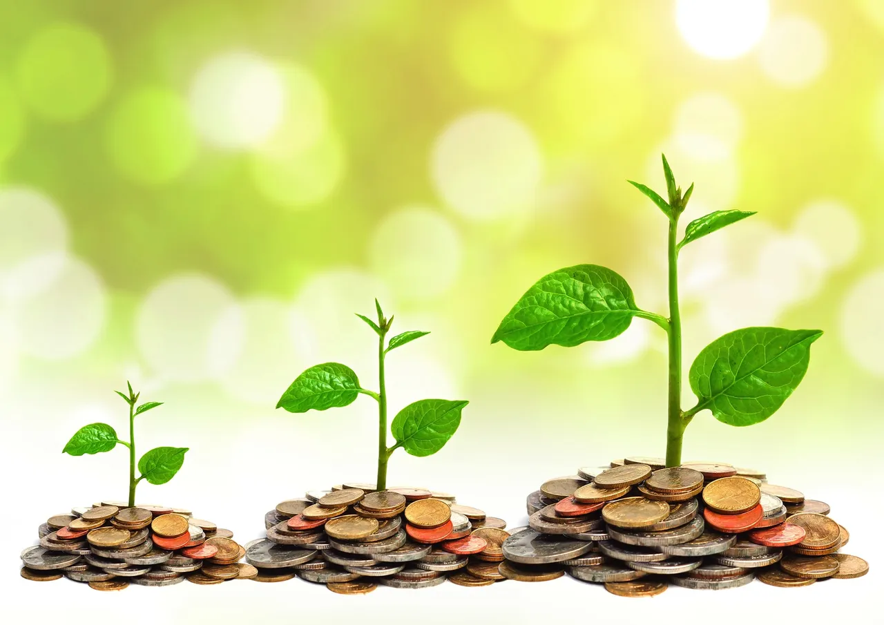 সংসারে আয় উন্নতি ফিরিয়ে আনুন কিছু জিনিস মেনে