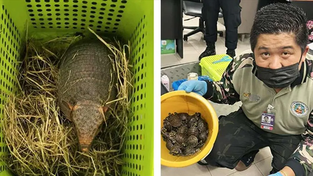 আর্মাডিলো, শজারু নিয়ে ধৃত দুই ভারতীয় মহিলা