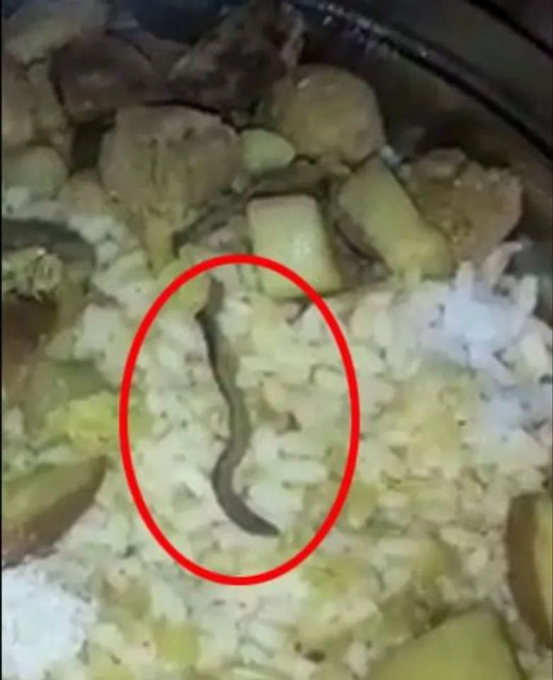 রাজ্যের সরকারি হাসপাতালের খাবারে মিলল কেঁচো! তদন্তের নির্দেশ মুখ্য স্বাস্থ্য আধিকারিকের