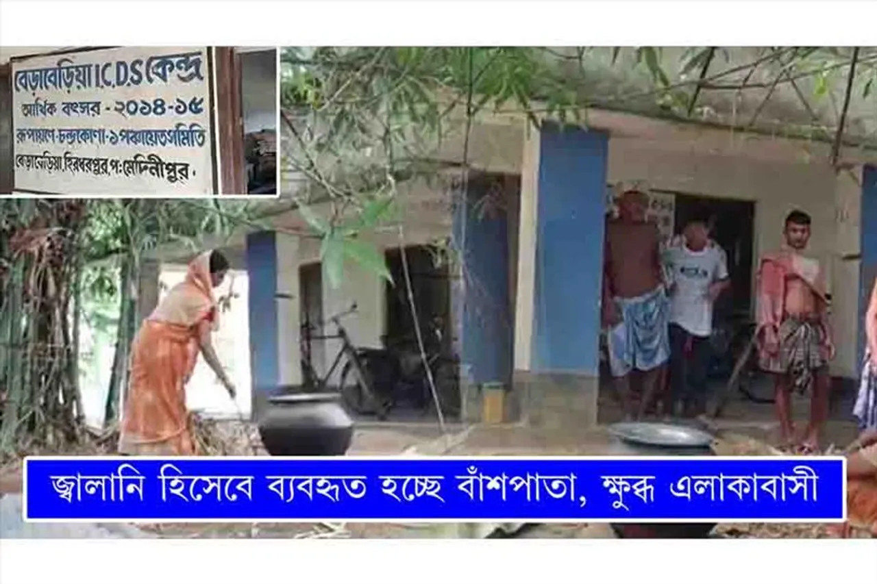 জ্বালানিতে ব্যবহৃত হচ্ছে বাঁশপাতা, ক্ষোভে ফুঁসছে এলাকাবাসী