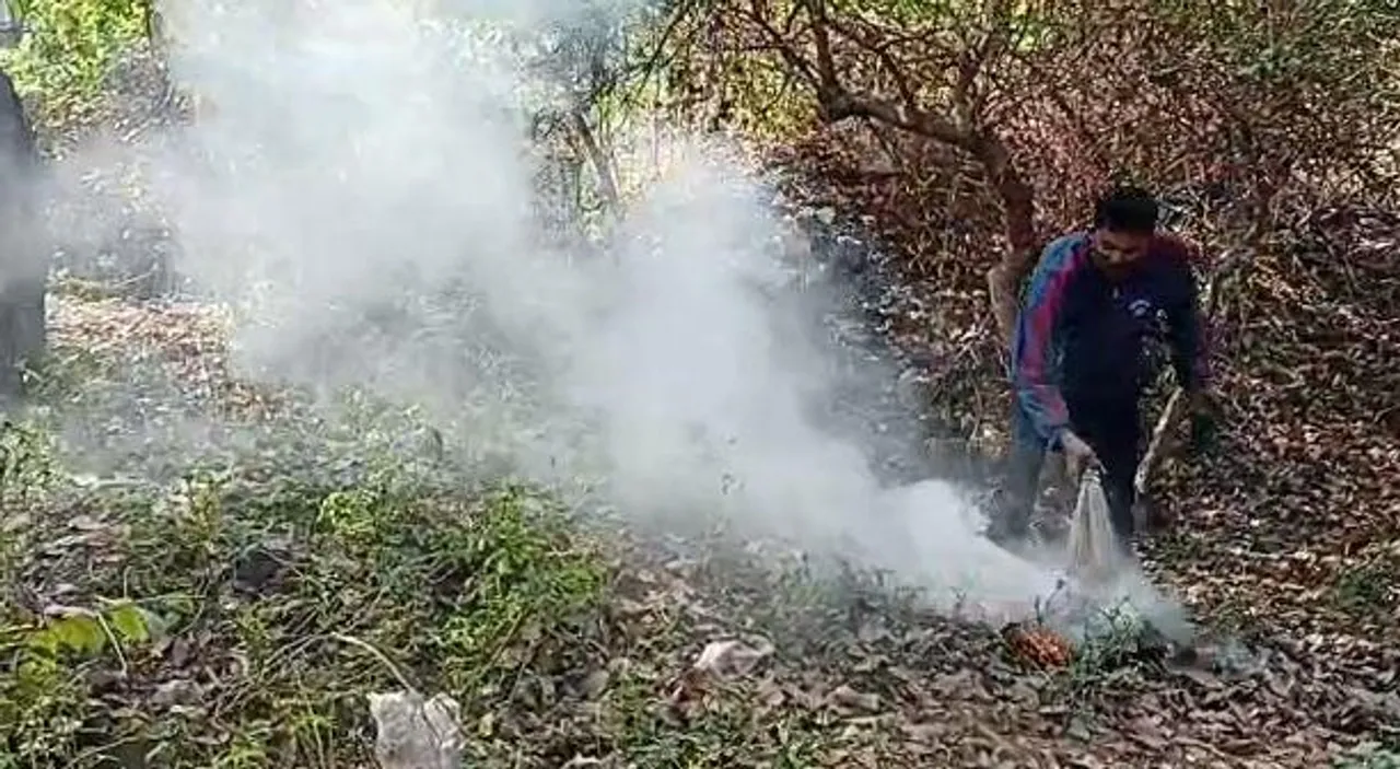 ফের মৌমাছির হানা