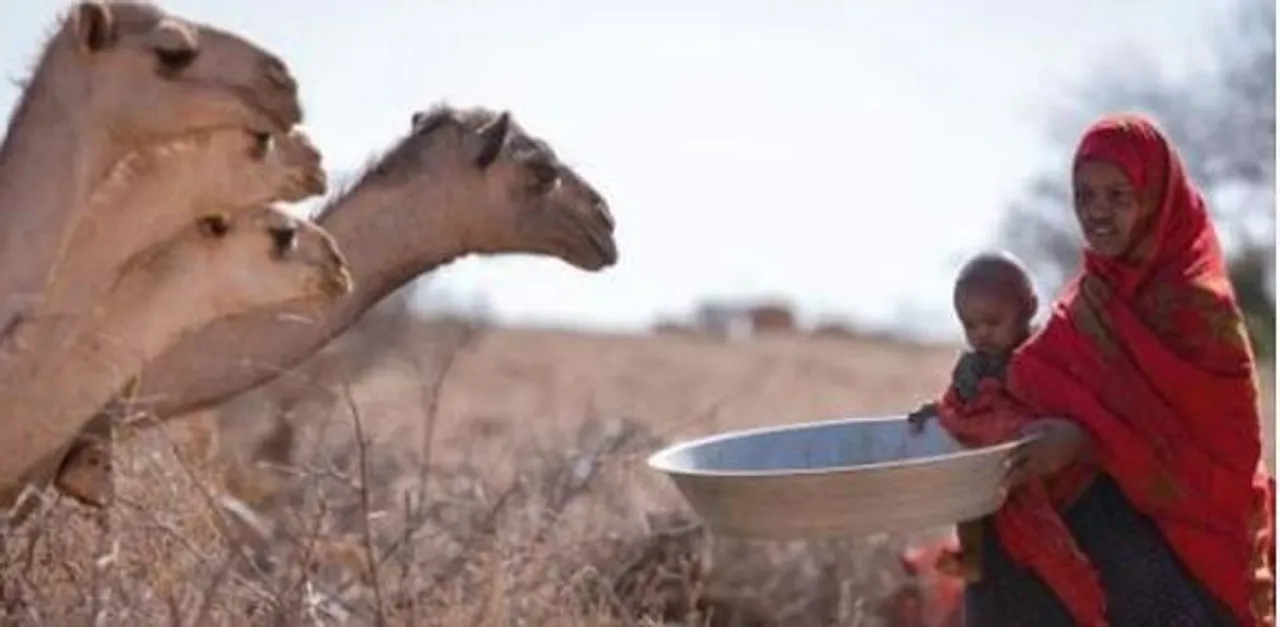 গ্রেটার হর্ন অফ আফ্রিকা খরার পূর্বাভাস পঞ্চম বছরের জন্য অব্যাহত