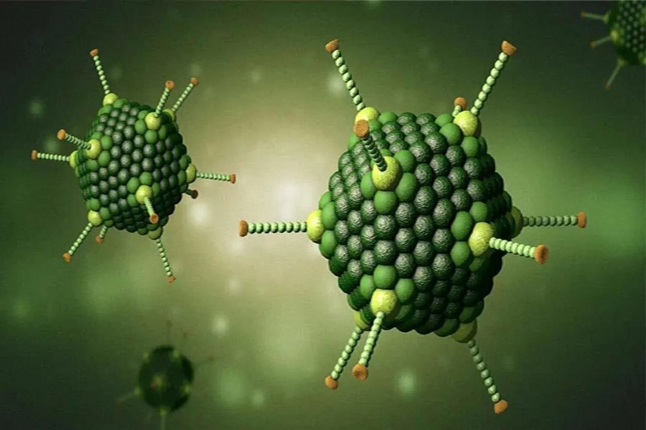 এবার কলকাতায় অ্যাডিনো ভাইরাসের বলি শিশু