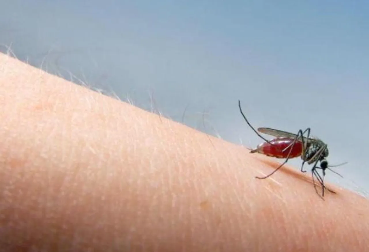 ডেঙ্গি আক্রান্ত হয়ে প্রাণ হারাল দশম শ্রেণির পড়ুয়া