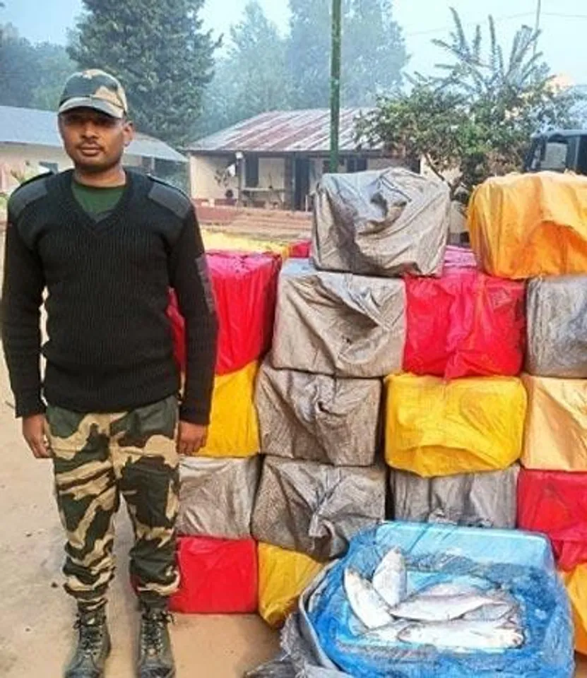 বিএসএফের তৎপরতায় ভেস্তে গেল ইলিশ পাচারের চেষ্টা