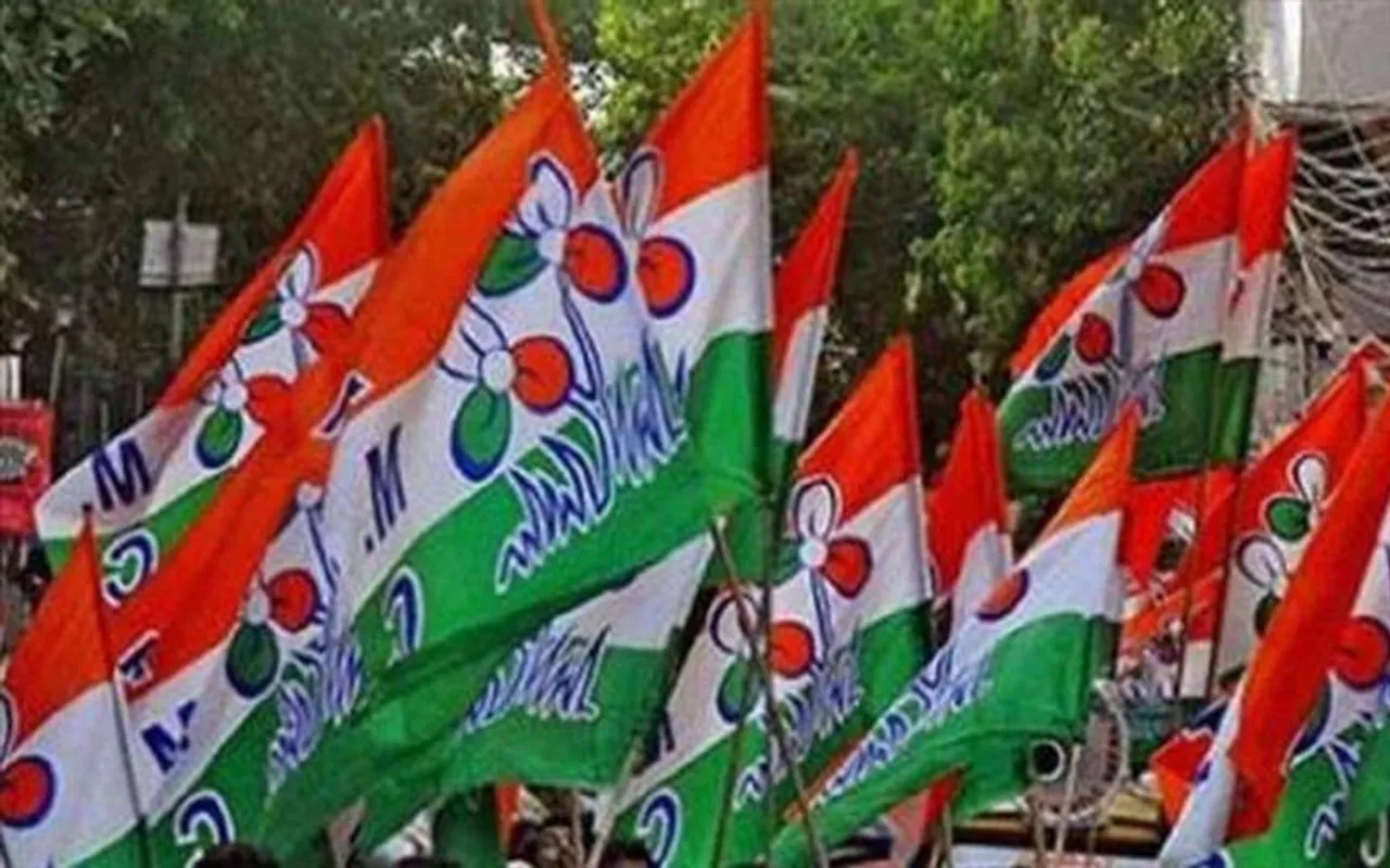 দুর্নীতির দায়ে দল থেকে বহিষ্কৃত পঞ্চায়েত সদস্য