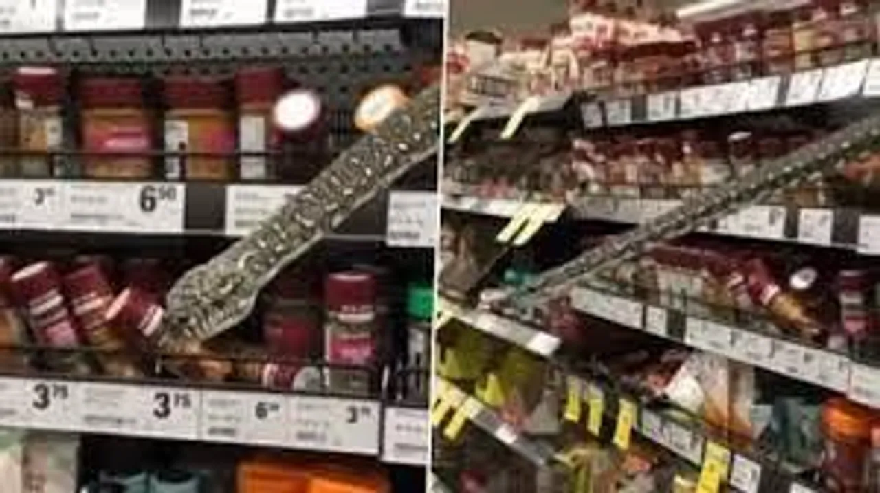 সিডনির সুপার মার্কেটে অজগর!