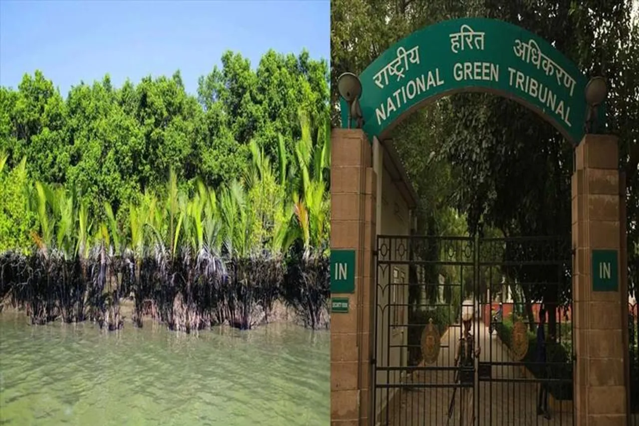 সুন্দরবনে নির্মিত একাধিক হোটেল ভাঙার নির্দেশ ন্যাশনাল গ্রিন ট্রাইব্যুনালের