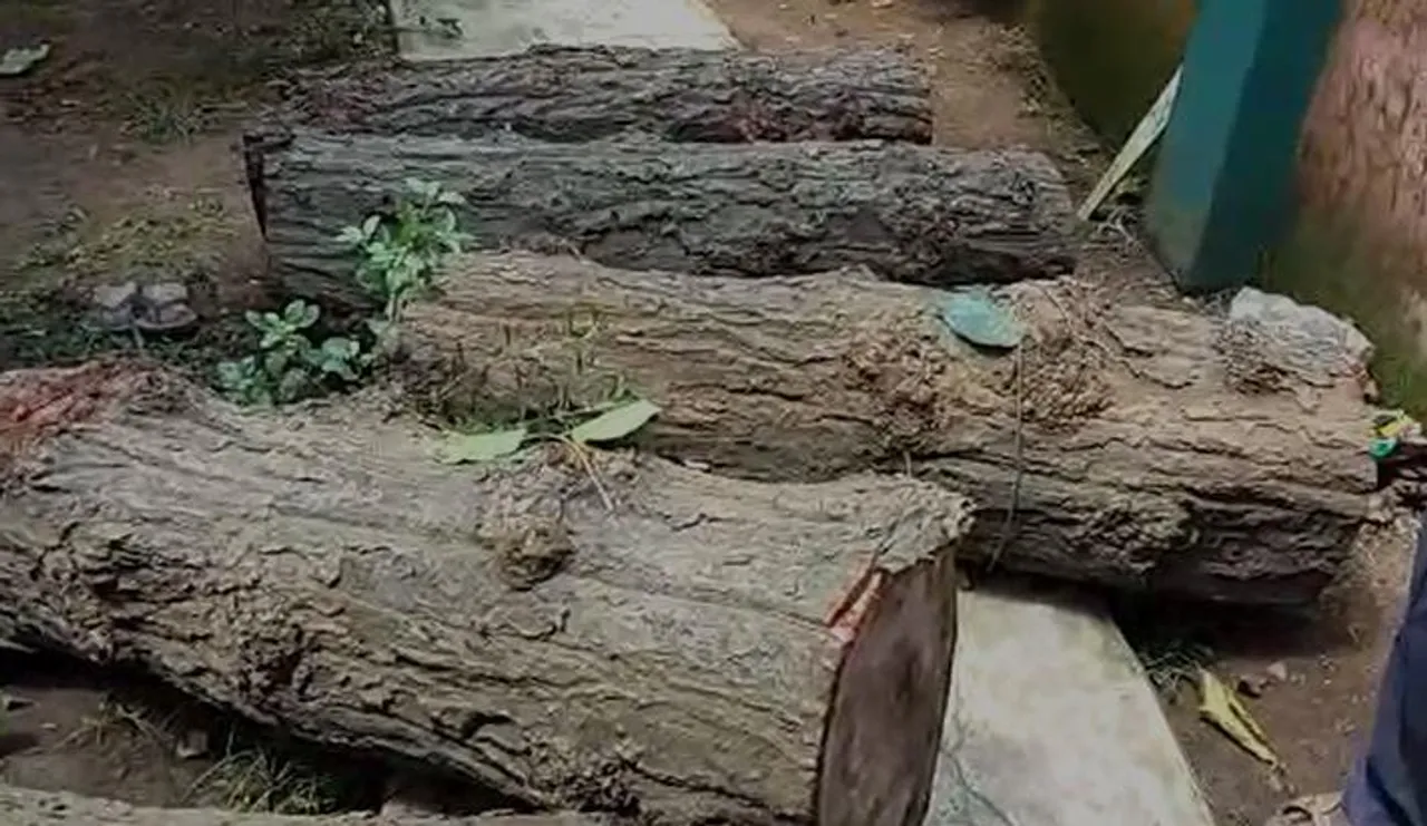 বেসরকারি গাছ পাচার ঘিরে উত্তেজনে দুর্গাপুরে