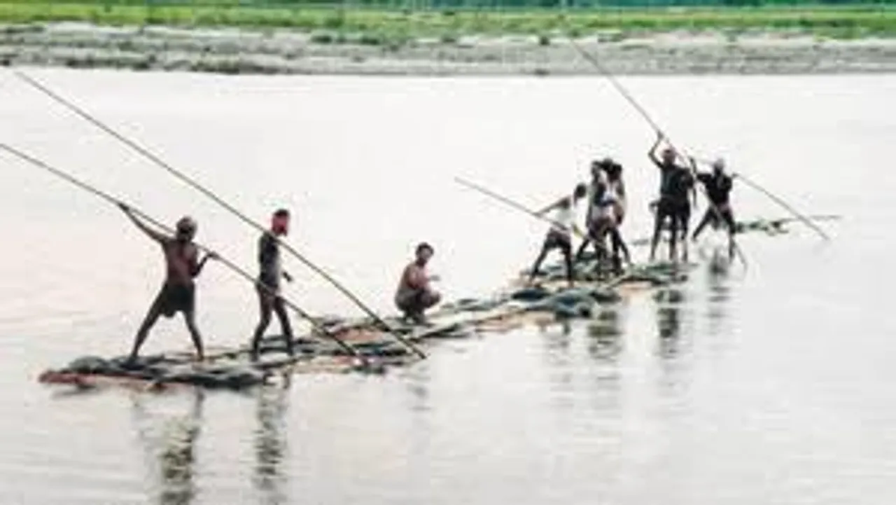 কাঠ পাচার রুখলেন বনকর্মীরা