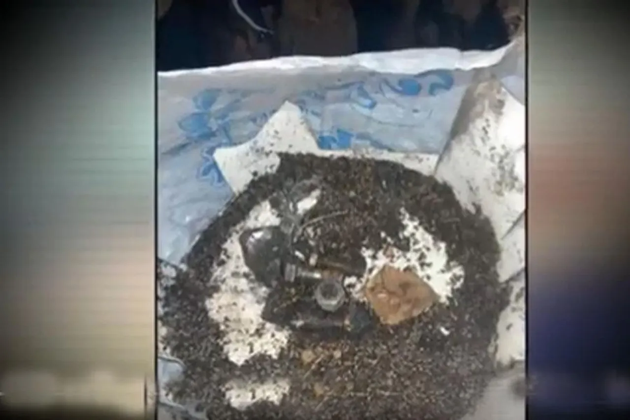 পুলওয়ামা থেকে বিপুল পরিমানে বিস্ফোরক উদ্ধার