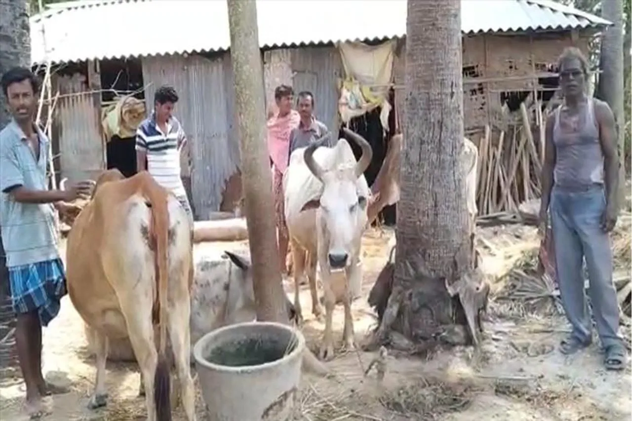 গরু চুরির ঘটনায় পুলিশি তৎপরতা