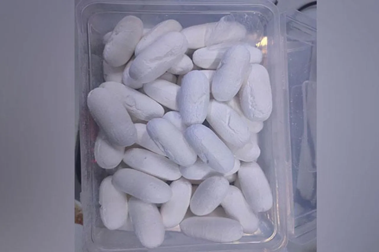 বিমানবন্দরে মাদক দ্রব্য! গ্রেফতার ব্রাজিলের যাত্রী