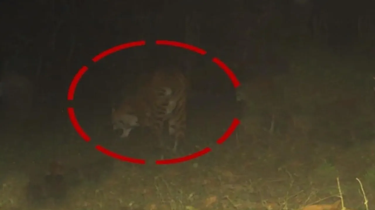 বক্সায় আপাতত বন্ধ জঙ্গল সাফারি