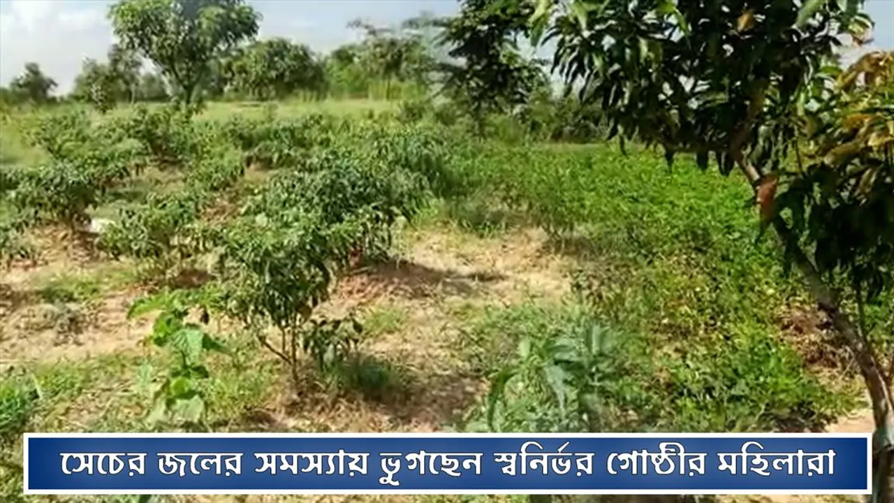 সেচের জলের সমস্যায় ভুগছেন স্বনির্ভর গোষ্ঠীর মহিলারা