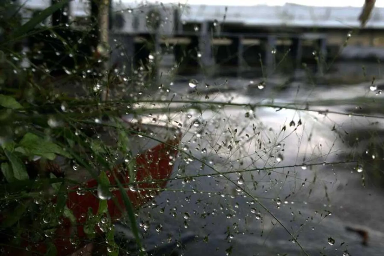 নিম্নচাপে ভর করে আসছে বৃষ্টি