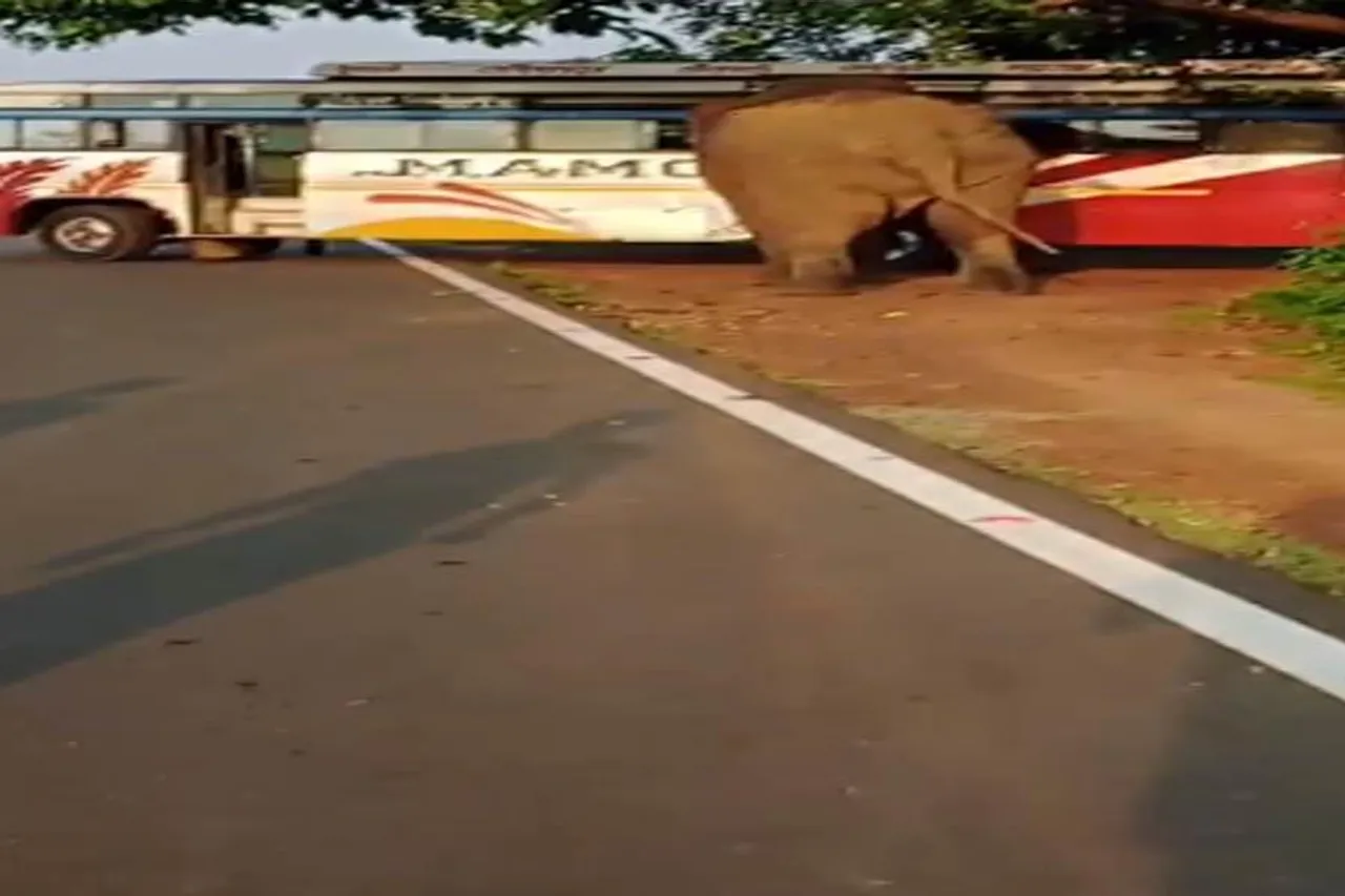 চালকের উপস্থিত বুদ্ধির জেরে রক্ষা হাতির তাণ্ডব থেকে