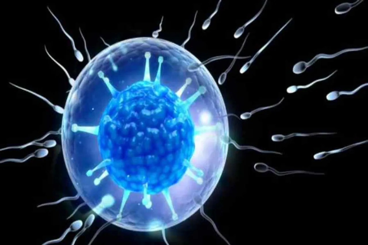 জানেন কি পুরুষের বীর্য শরীরের কোথায় থাকে?