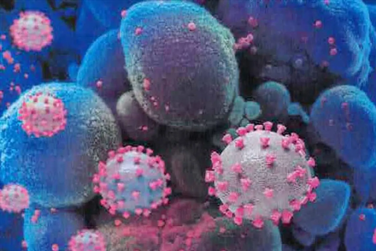 গোয়ায় ওমিক্রন হানা