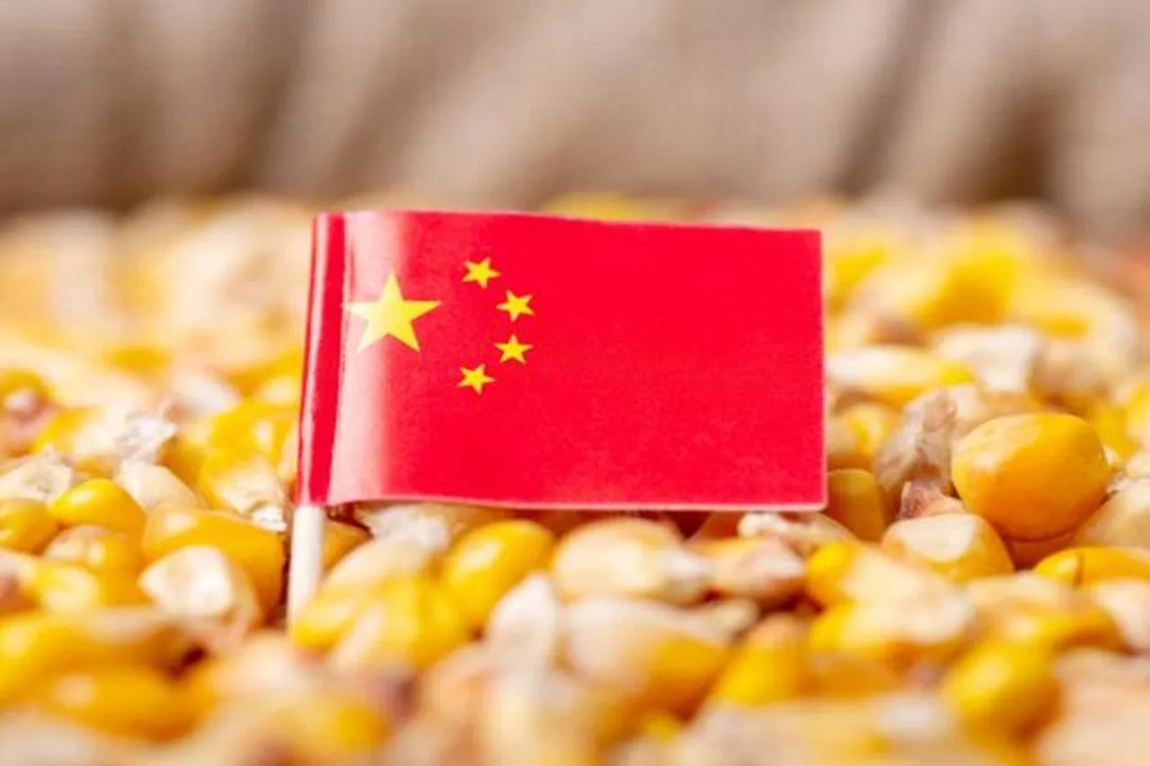 খাদ্য নিরাপত্তা নিয়ে  চীনে  বড় উদ্বেগ