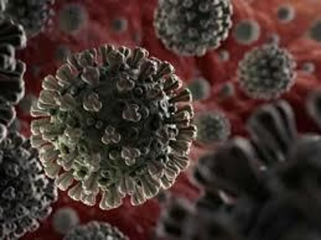 দৈনিক সংক্রমণে নয়া রেকর্ড!