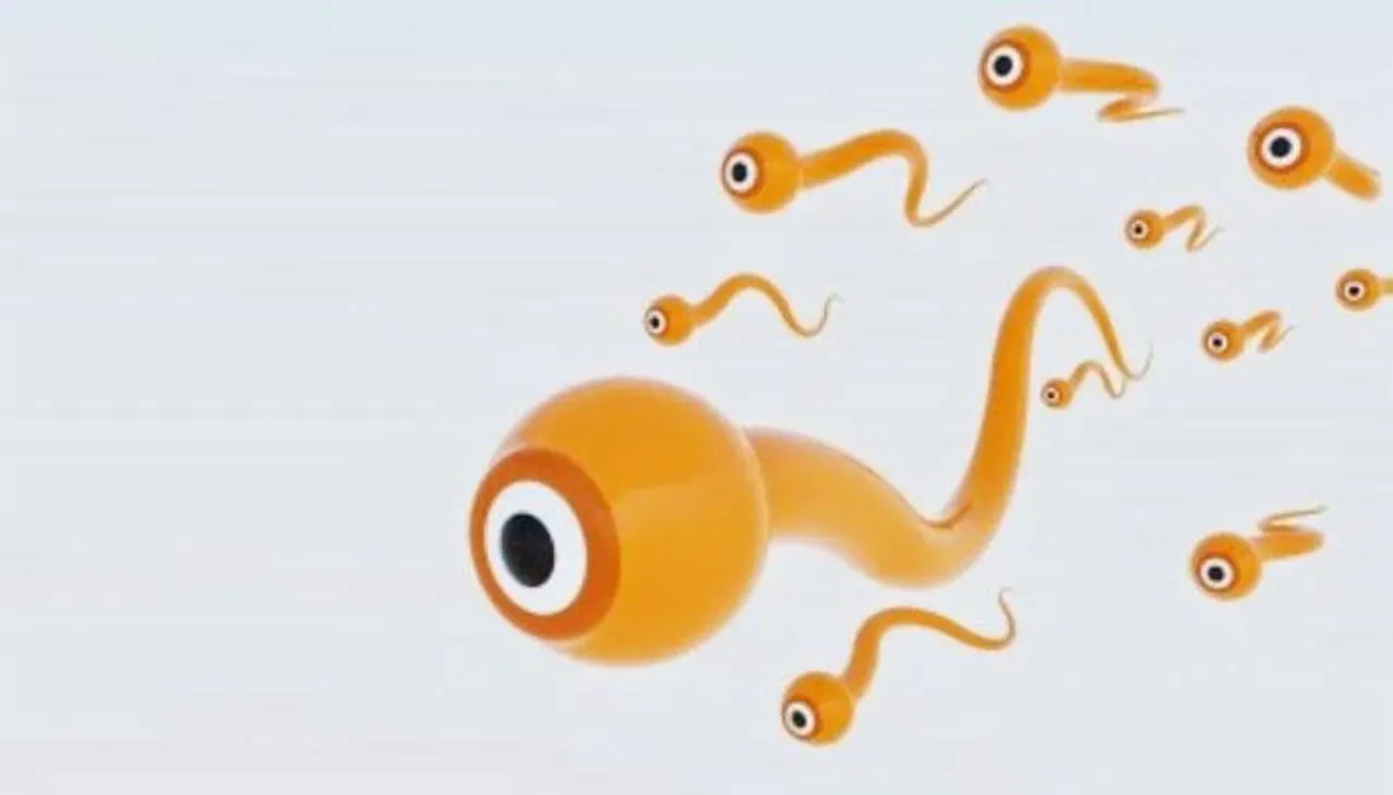 স্পার্ম কাউন্ট বাড়াতে ডিম