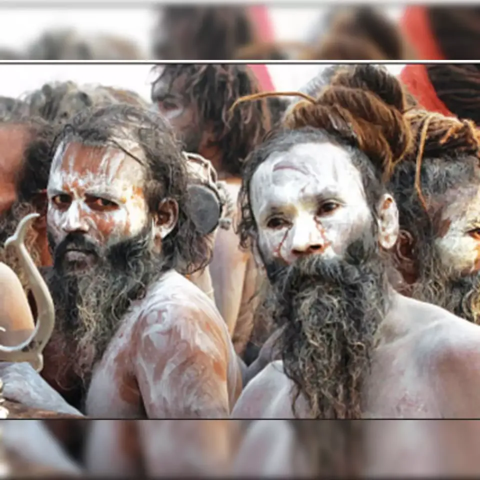 Naga sadhus